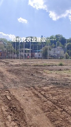 鼎尚銘 專注網(wǎng)絡(luò)技術(shù)開(kāi)發(fā)，賦能數(shù)字化未來(lái)